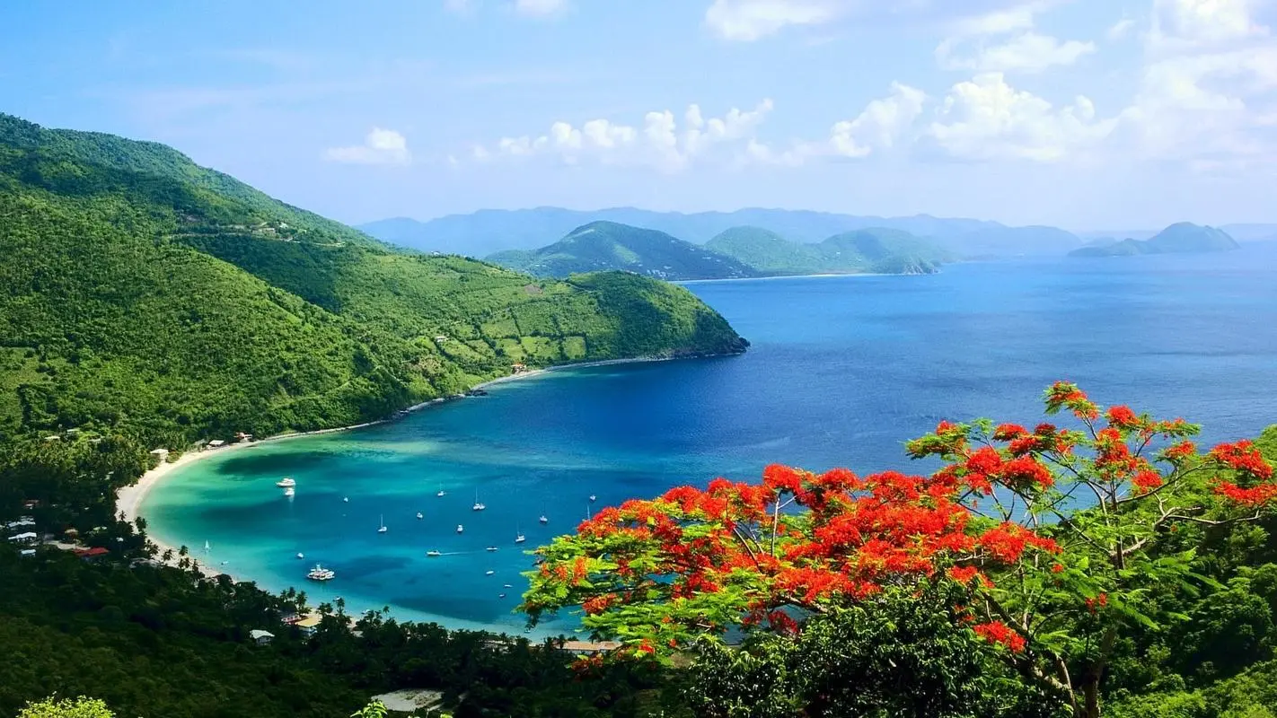 高标准智能化自动化